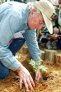 Noam Chomsky plante un arbre dans l'école de formation intégrale des militants sans terre, près de Sao Paulo.